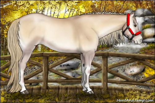 Horse Color:Red Onyx Pearl Mushroom