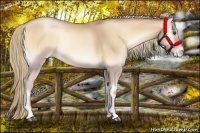 Horse Color:Red Onyx Pearl Mushroom 