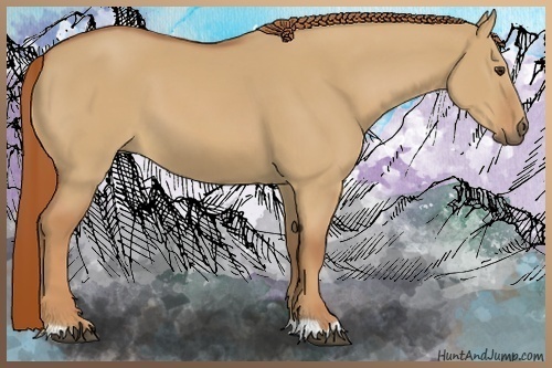Horse Color:Red Dun 