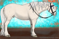 Horse Color:Cremello 
