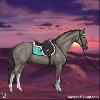 Horse Color:Grullo 
