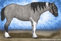 Horse Color:Grullo Roan Tobiano