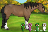 Horse Color:Gray Bay Dun 