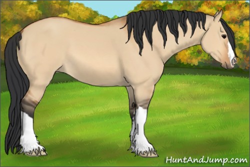 Horse Color:Bay Dun