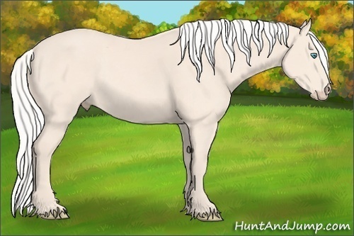Horse Color:Silver Perlino 