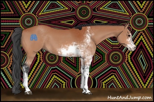 Horse Color:Bay Sabino 