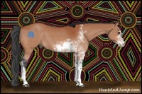 Horse Color:Bay Sabino 