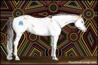 Horse Color:Buckskin Sabino