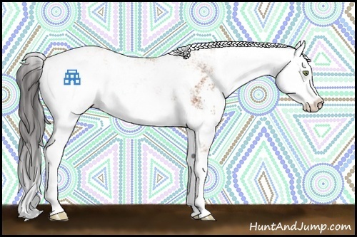 Horse Color:Bay Sabino 