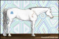 Horse Color:Bay Sabino 