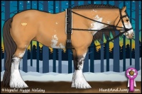 Horse Color:Buckskin Sabino