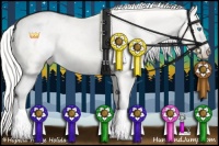 Horse Color:Silver Perlino Dun Sabino Varnish 