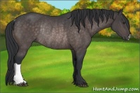 Horse Color:Platinum Brown Rabicano 