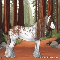 Horse Color:White Spotted Chestnut Splash 