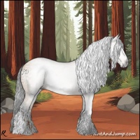 Horse Color:Gray White Spotted Buckskin 