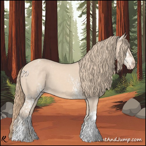 Horse Color:White Spotted Perlino 