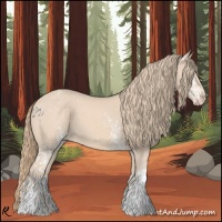 Horse Color:White Spotted Perlino 