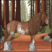 Horse Color:White Spotted Chestnut Sabino