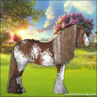 Horse Color:White Spotted Liver Chestnut 