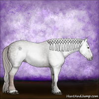 Horse Color:Gray Chestnut 