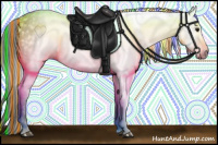 Horse Color:Gray Painted Bay 