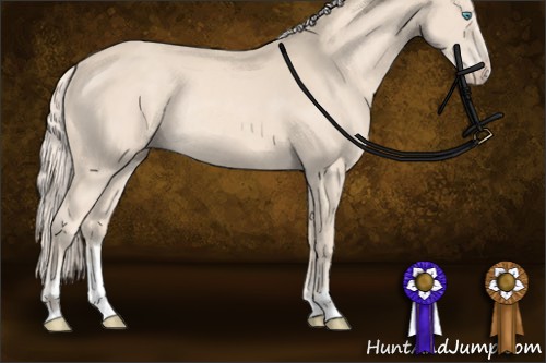 Horse Color:Cremello Sabino Splash Rabicano  and Cremello Sabino Rabicano 