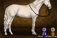 Horse Color:Cremello Sabino Splash Rabicano  and Cremello Sabino Rabicano 