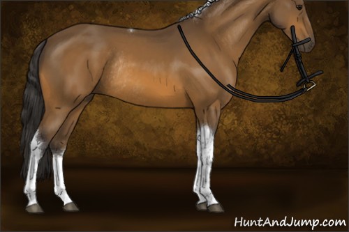 Horse Color:Buckskin Sabino Tobiano Rabicano