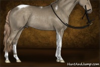 Horse Color:Chocolate Palomino Dun Sabino Tobiano Rabicano