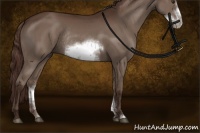 Horse Color:Liver Chestnut Sabino Frame Rabicano