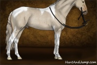 Horse Color:Chocolate Palomino Roan Dun Tobiano Rabicano