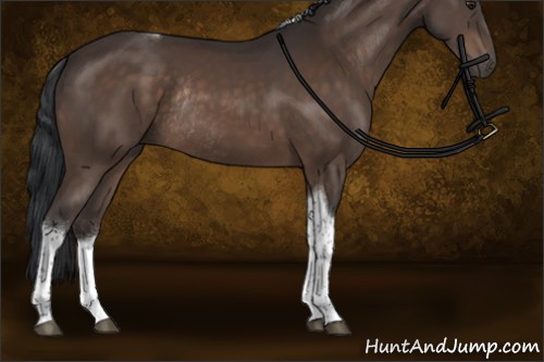 Horse Color:Brown Sabino Tobiano Rabicano 