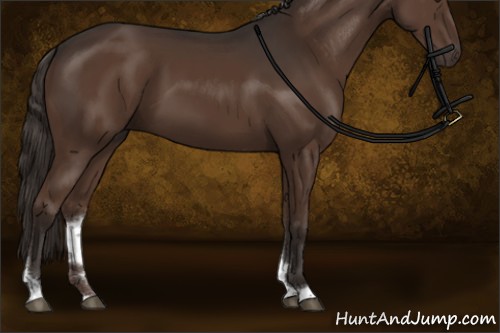 Horse Color:Liver Chestnut Sabino Tobiano Rabicano 