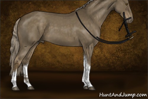 Horse Color:Chocolate Palomino Roan Tobiano Rabicano