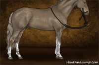 Horse Color:Chocolate Palomino Roan Tobiano Rabicano