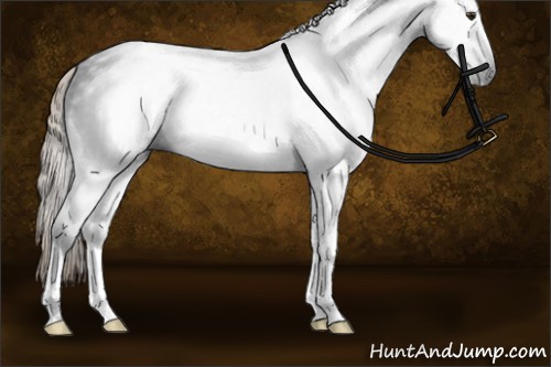 Horse Color:Gray Chocolate Palomino Sabino Tobiano Rabicano