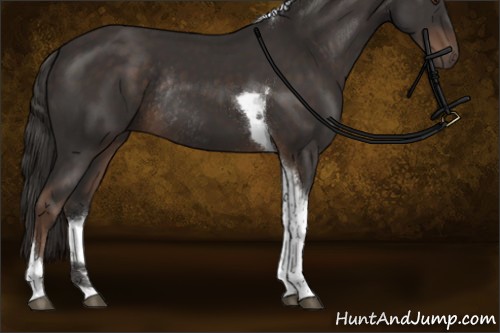Horse Color:Liver Chestnut Sabino Tobiano Rabicano 