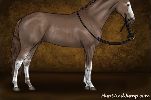 Horse Color:White Spotted Liver Chestnut Sabino Rabicano