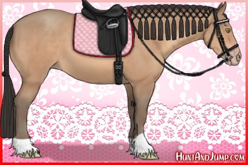 Horse Color:Amber Champagne 