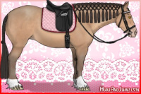 Horse Color:Amber Champagne 