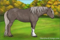 Horse Color:Silver Black