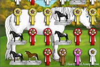 Horse Color:Silver Bay Splash Appaloosa Rabicano