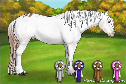 Horse Color:Chestnut Blanket Rabicano