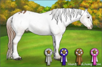 Horse Color:Chestnut Blanket Rabicano 