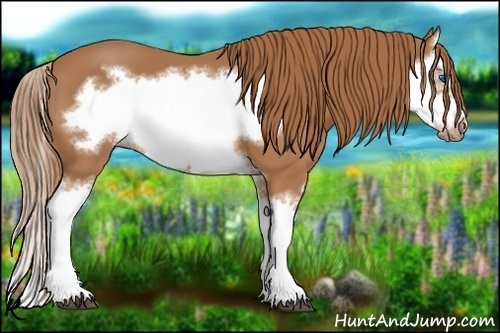 Horse Color:Chestnut Splash Frame
