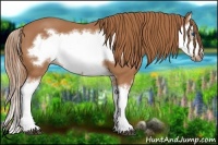 Horse Color:Chestnut Splash Frame