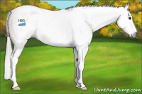 Horse Color:Gray Red Roan Splash