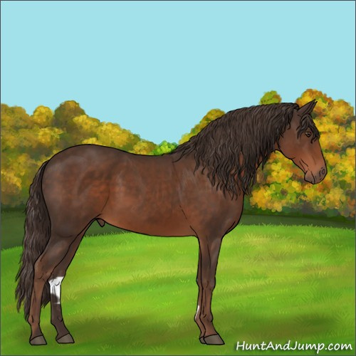 Horse Color:Liver Chestnut Sabino