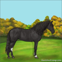 Horse Color:Liver Chestnut Sabino 