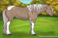 Horse Color:Silver Grullo Tobiano 